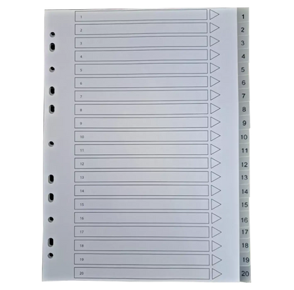 A4 File Subject Dividers Polypropylene 20 Part Multi Punched Pack Of 2 Pins & Needles