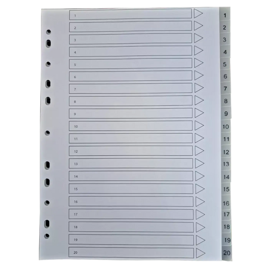 A4 File Subject Dividers Polypropylene 20 Part Multi Punched Pack Of 2 Pins & Needles