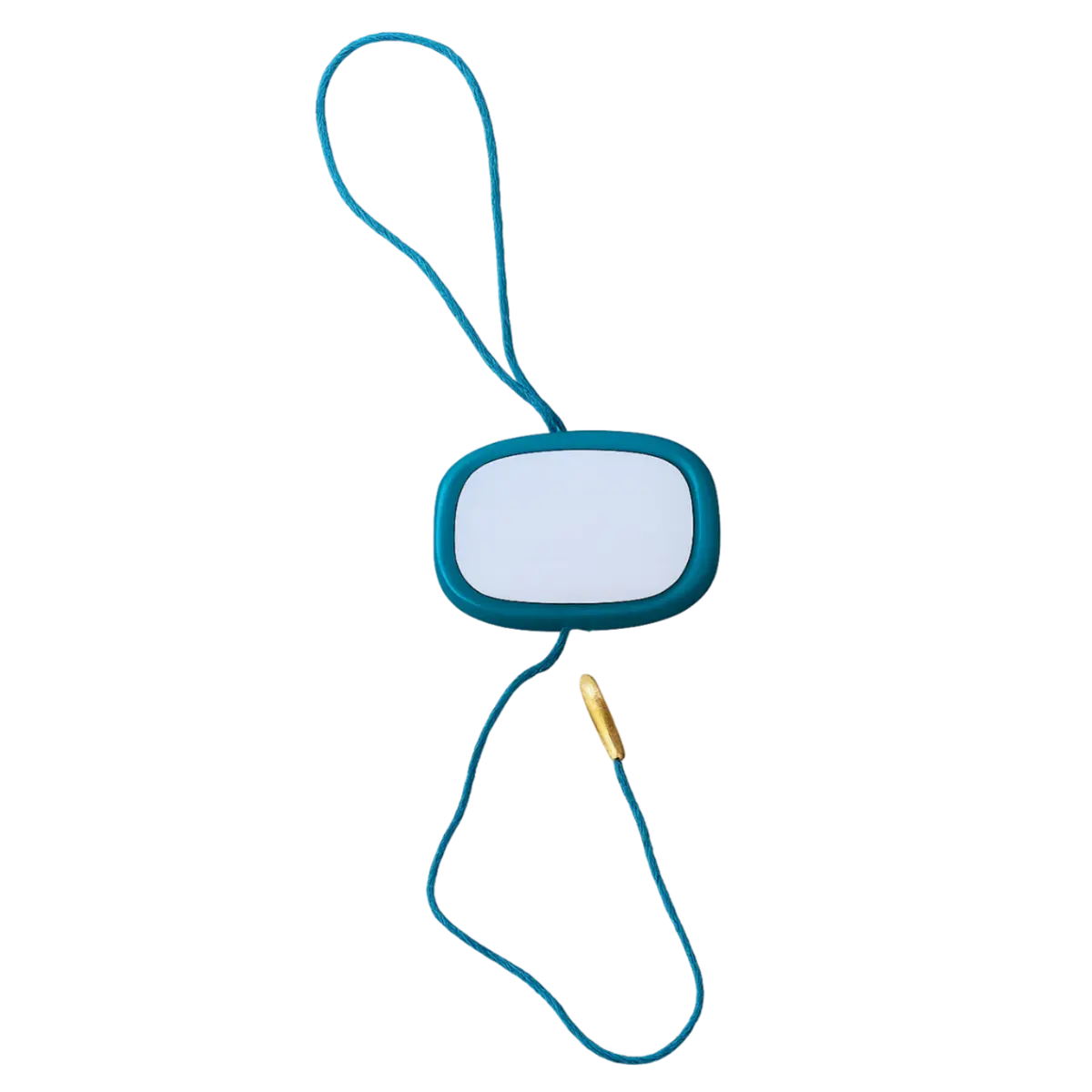 Pack of 100 Sample Seals Pins and Needles